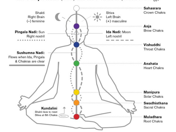 The 7 Chakras – Energy&nbsp;Wheels