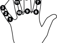 Counting breath cycles during&nbsp;Pranayama