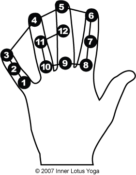 hand_counting_illustration