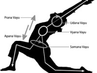 The 5 Prana Vayus – the 5&nbsp;Winds